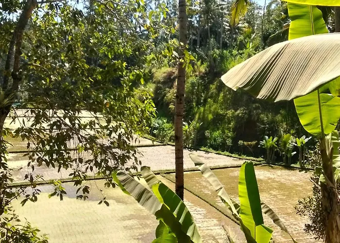 Vakantiehuis Bale Tirta Balinese Tropical Payangan