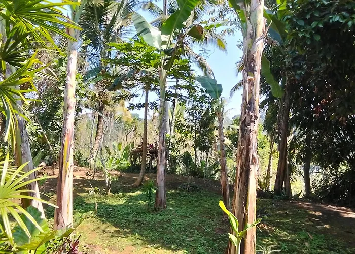 Bale Tirta Balinese Tropical * Payangan